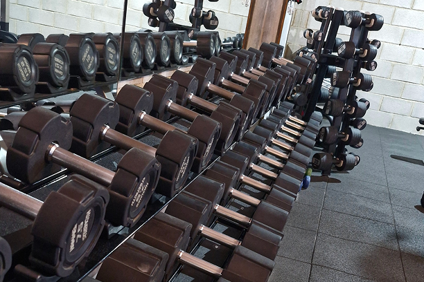 Entrenamiento personalizado